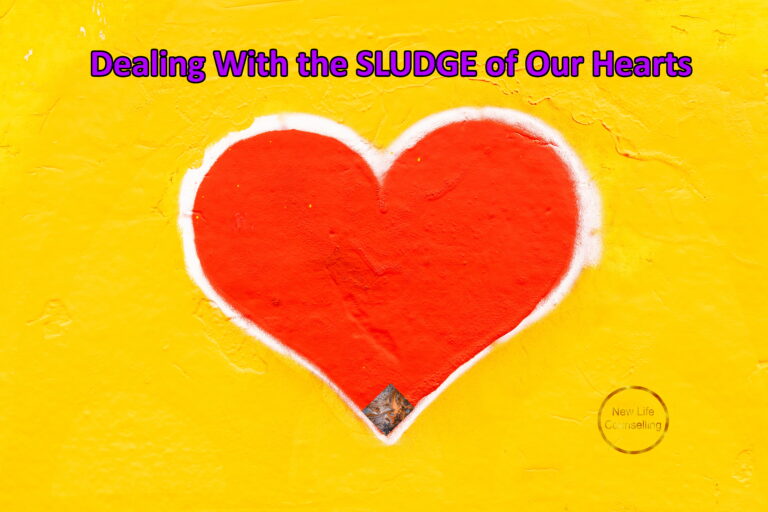 Read more about the article Dealing With the SLUDGE of Our Hearts