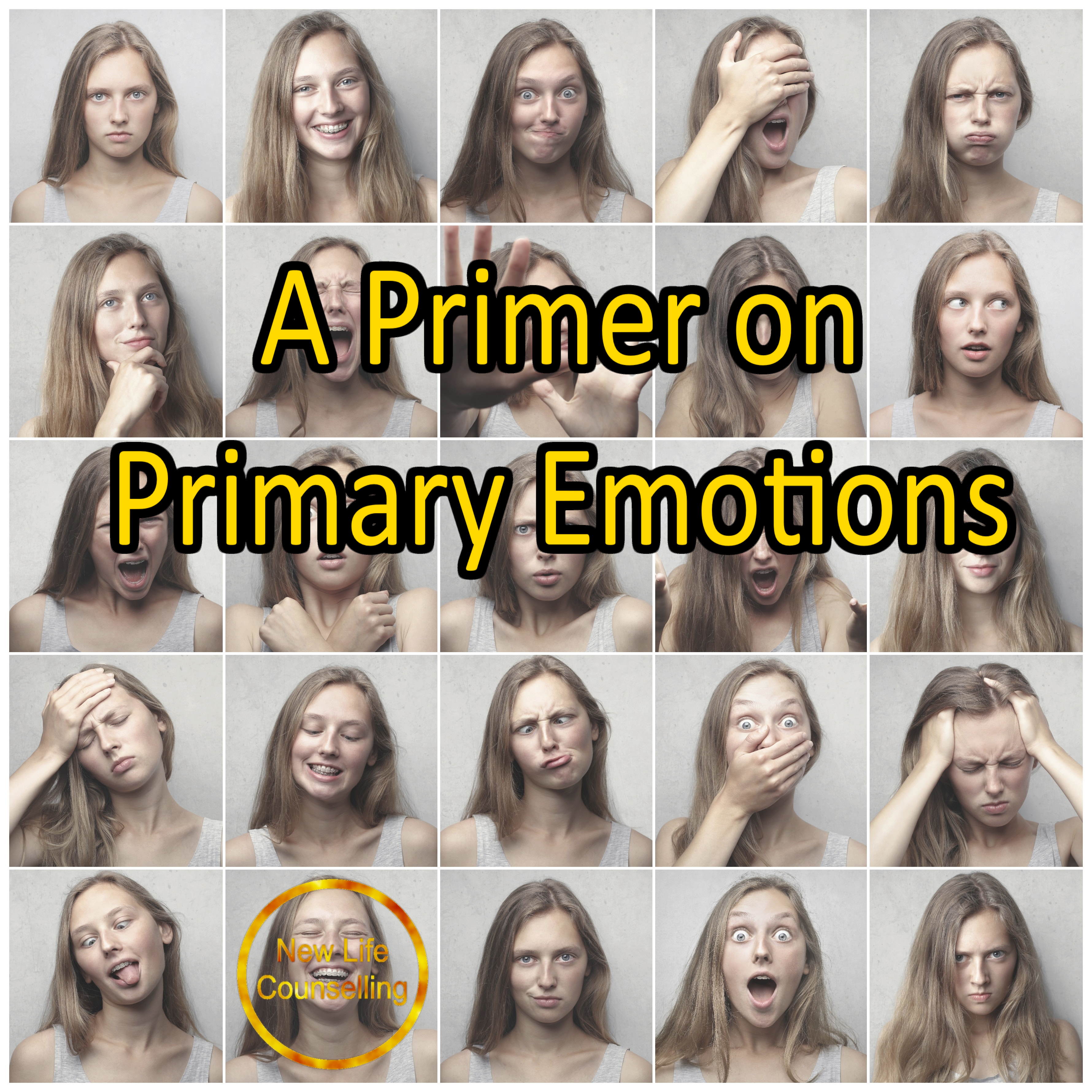 Read more about the article A Primer On Primary Emotions