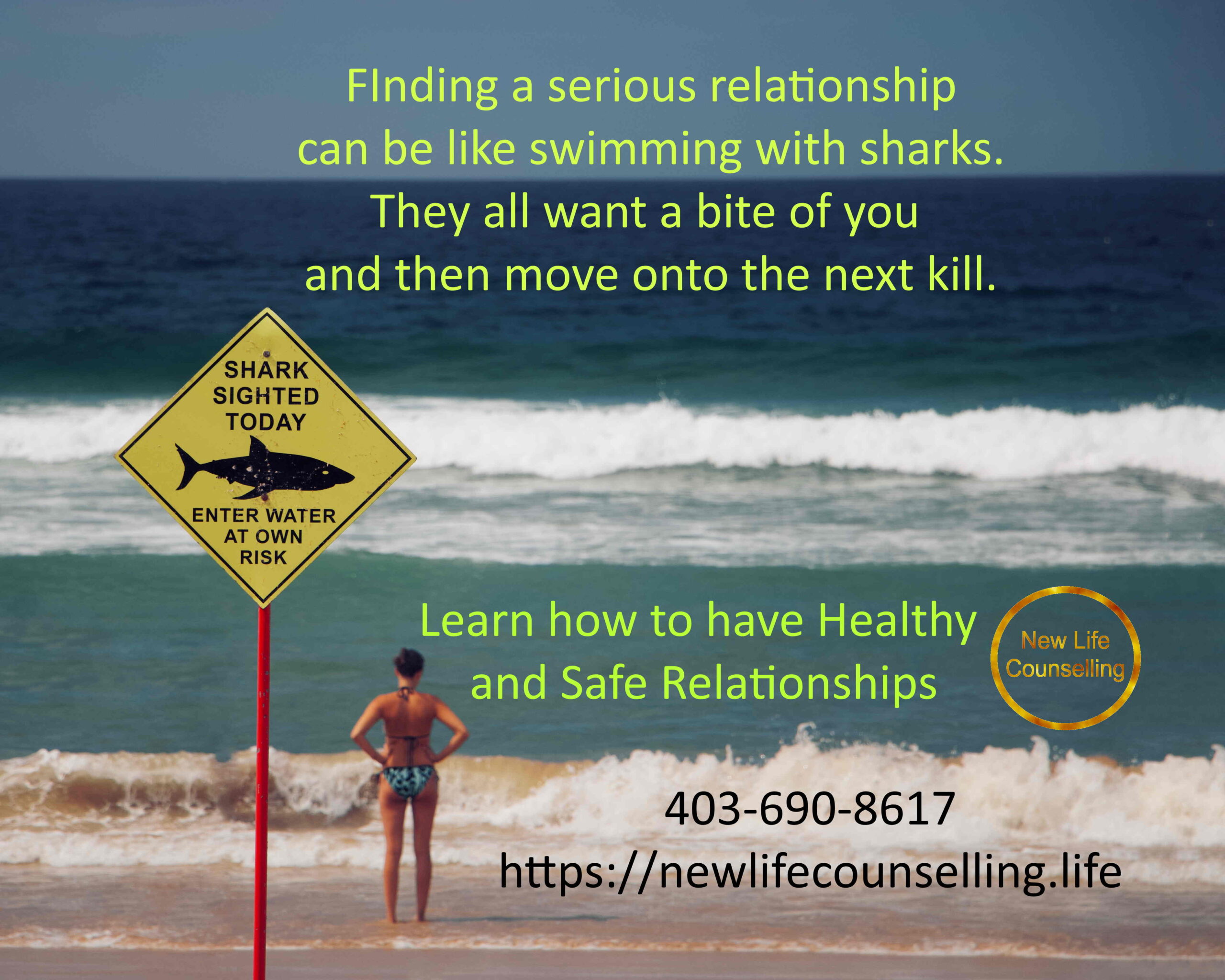 Read more about the article Shark Sighted Today | Marriage Counselling Calgary