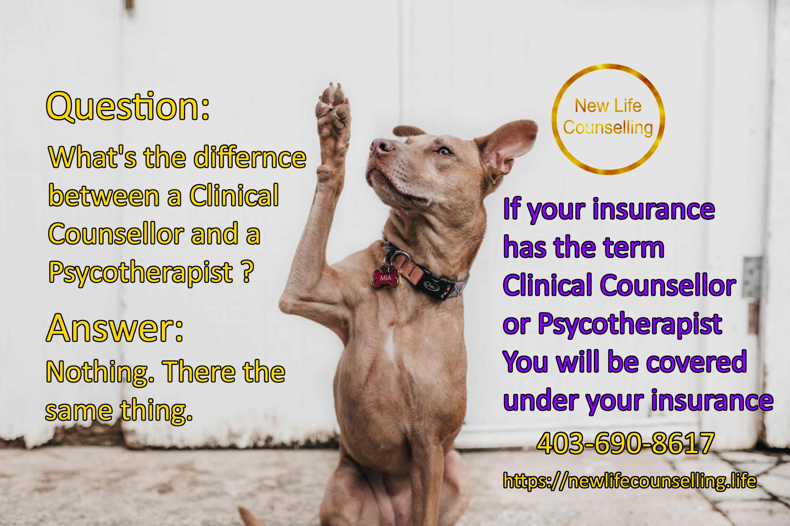 You are currently viewing Question: What’s the difference between a Clinical Counsellor and a Psychotherapist? | Couples Counselling Calgary