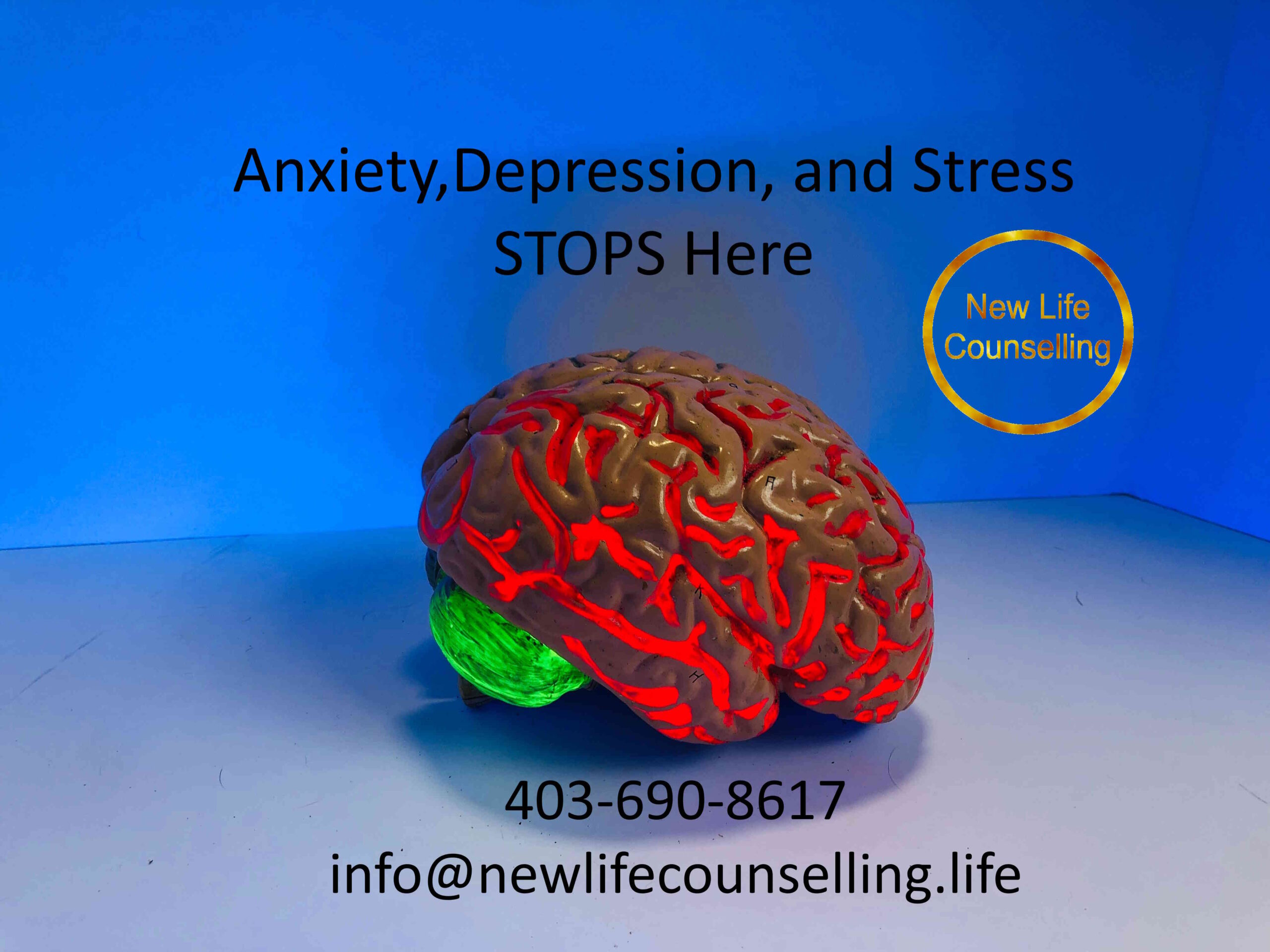 Read more about the article Anxiety Counselling | Anxiety Therapy Calgary