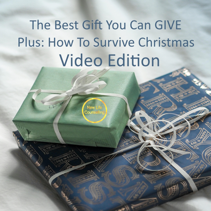 You are currently viewing The Best Christmas Gift Ever (How to Survive Christmas Video Edition)